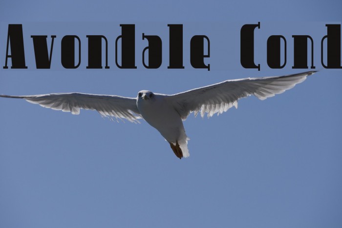 Avondale Cond Font examples