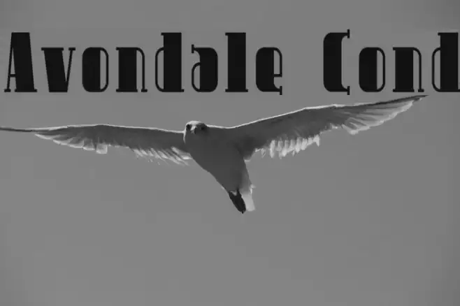 Avondale Cond Example 1