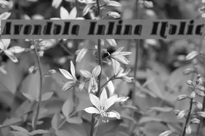 Avondale Inline Italic Font examples