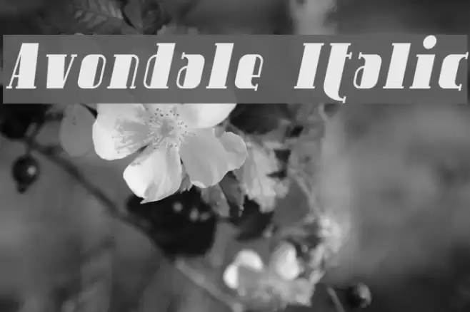 Avondale Italic Font examples