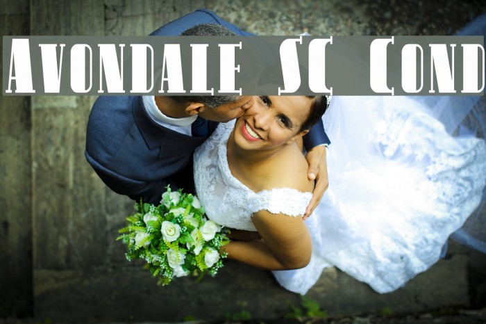 Avondale SC Cond フォント examples