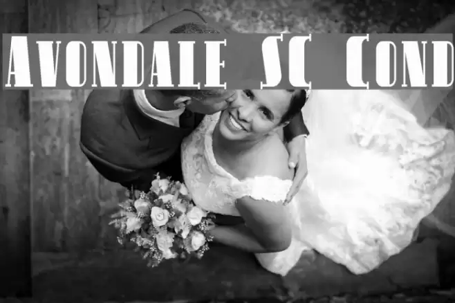 Avondale SC Cond フォント examples