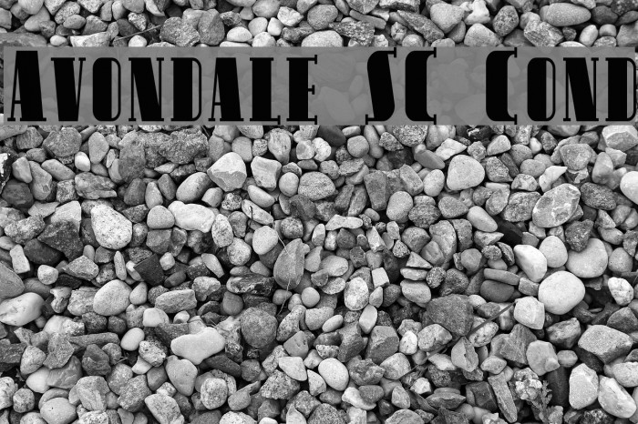 Avondale SC Cond フォント examples