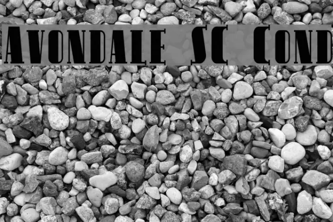 Avondale SC Cond フォント examples