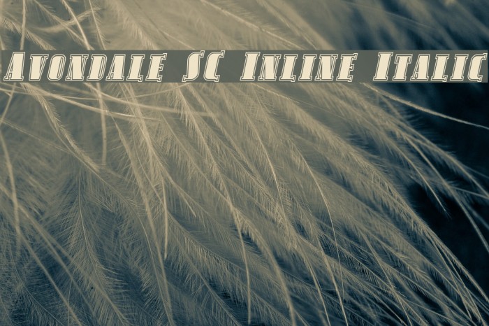 Avondale SC Inline Italic Font examples