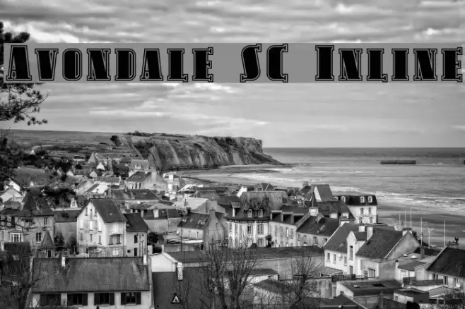 Avondale SC Inline Example 1