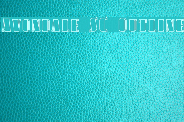 Avondale SC Outline Polices examples