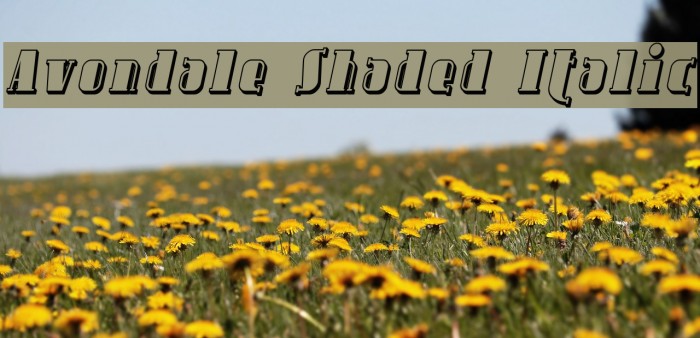 Avondale Shaded Italic फ़ॉन्ट examples
