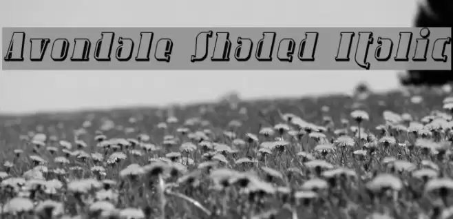Avondale Shaded Italic Font examples