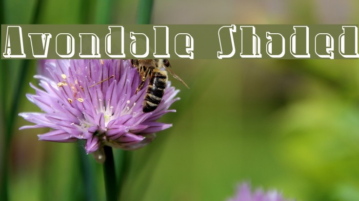Avondale Shaded Font examples
