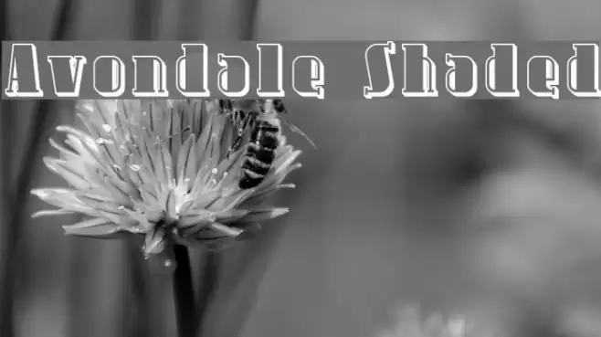Avondale Shaded Font examples
