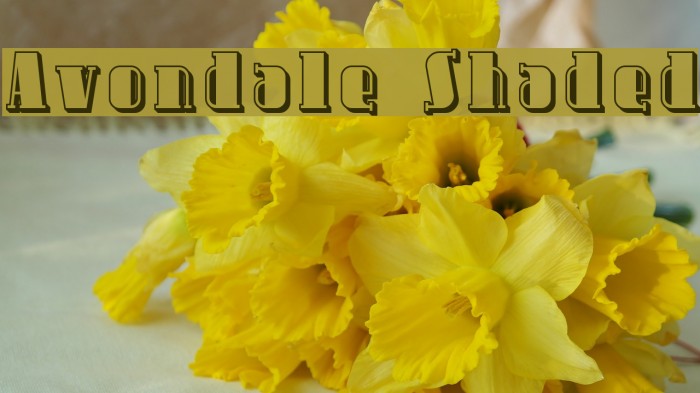 Avondale Shaded Font examples