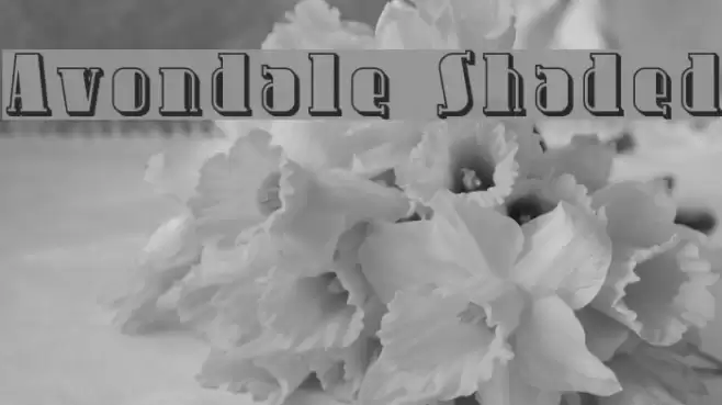 Avondale Shaded Font examples