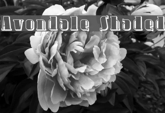 Avondale Shaded Font examples
