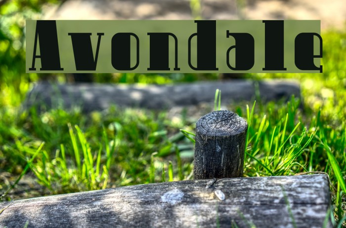 Avondale Font examples