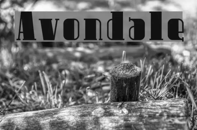 Avondale Example 2