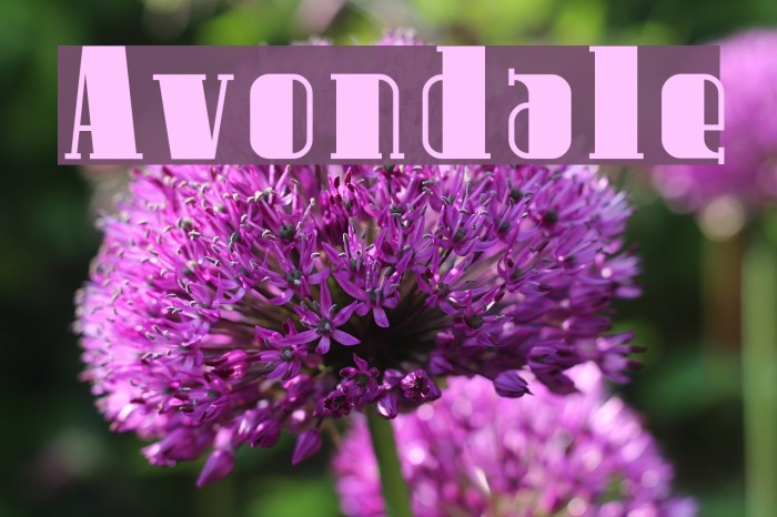 Avondale Font examples