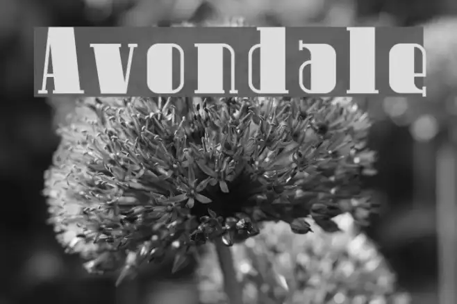 Avondale Example 3