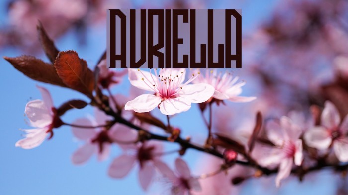 Avriella Font examples