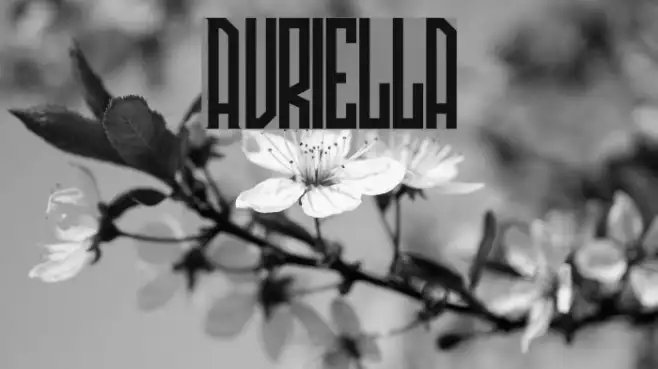 Avriella Example 2