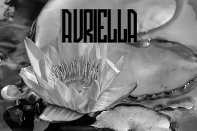 Avriella Example 3