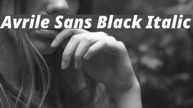 Avrile Sans Black Italic Font examples