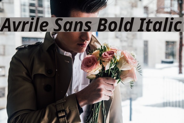Avrile Sans Bold Italic Schriftart examples
