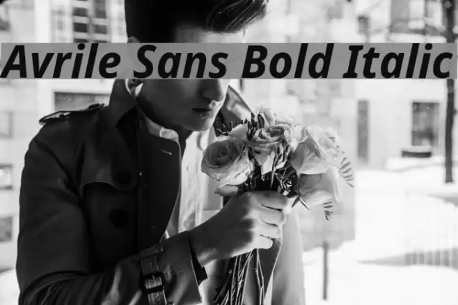 Avrile Sans Bold Italic Font examples