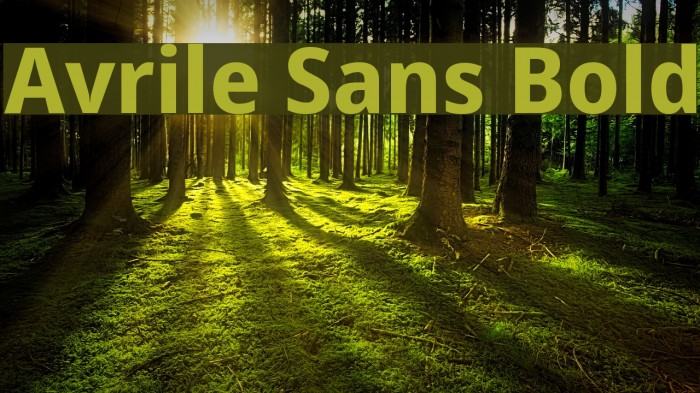 Avrile Sans Bold Font examples