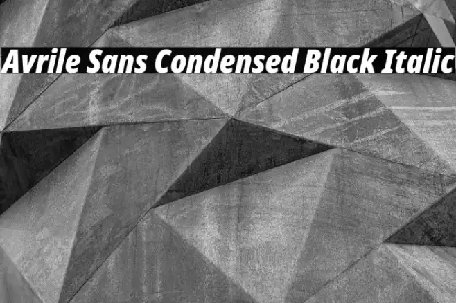 Avrile Sans Condensed Black Italic Example 1