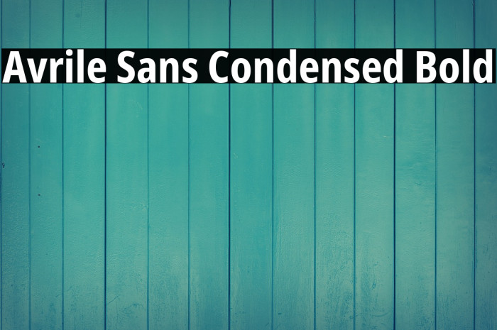 Avrile Sans Condensed Bold Font examples