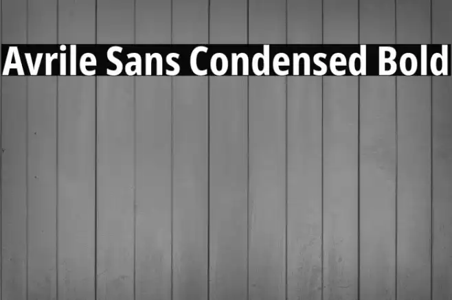 Avrile Sans Condensed Bold Example 1