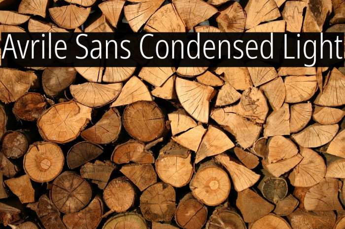 Avrile Sans Condensed Light Font examples