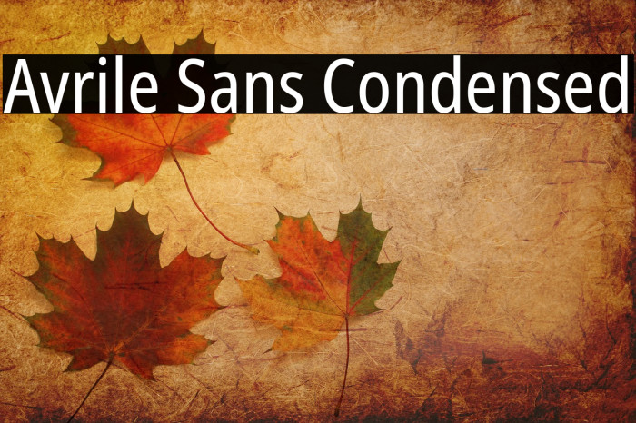 Avrile Sans Condensed Font examples