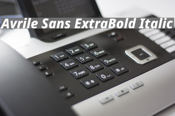 Avrile Sans ExtraBold Italic Font examples