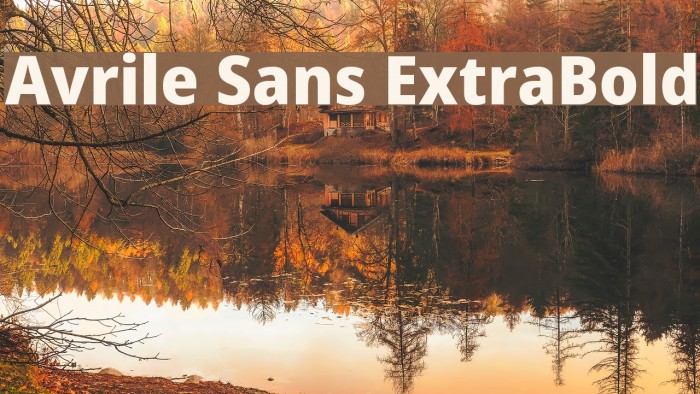 Avrile Sans ExtraBold Schriftart examples