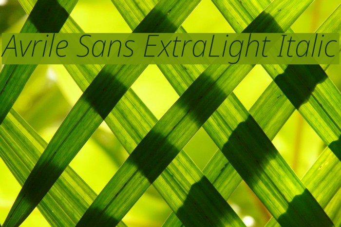 Avrile Sans ExtraLight Italic Font examples