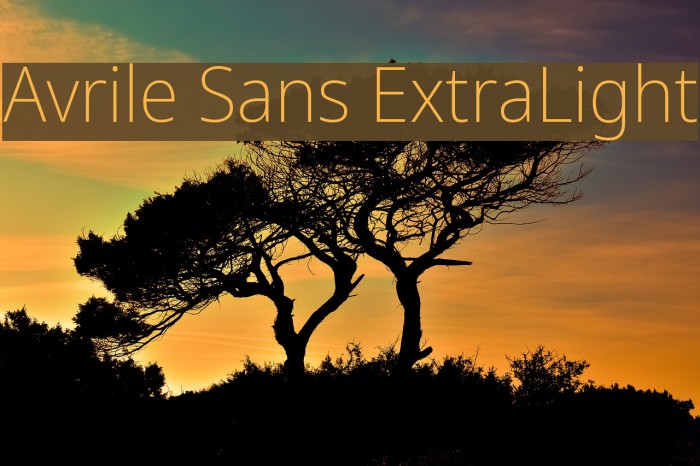 Avrile Sans ExtraLight Font examples