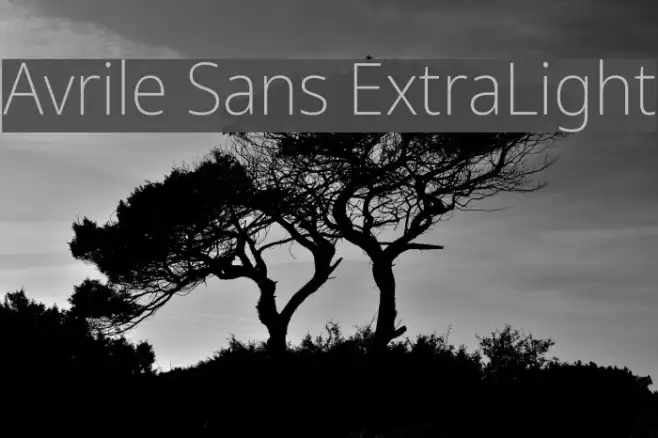 Avrile Sans ExtraLight Example 1