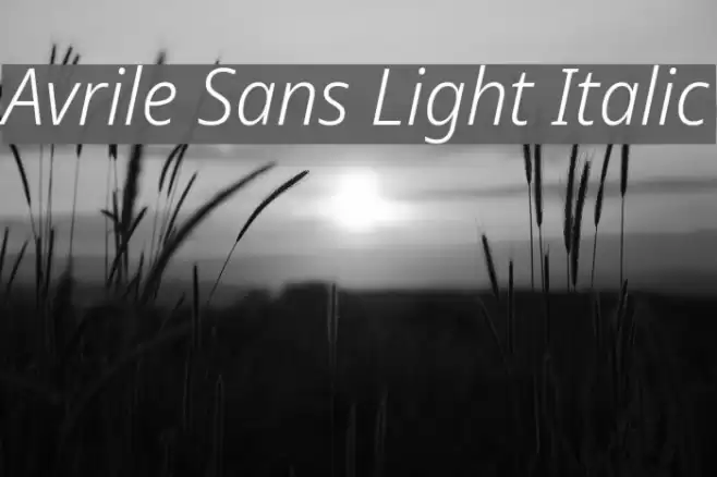 Avrile Sans Light Italic Font examples