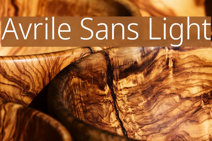 Avrile Sans Light Font examples