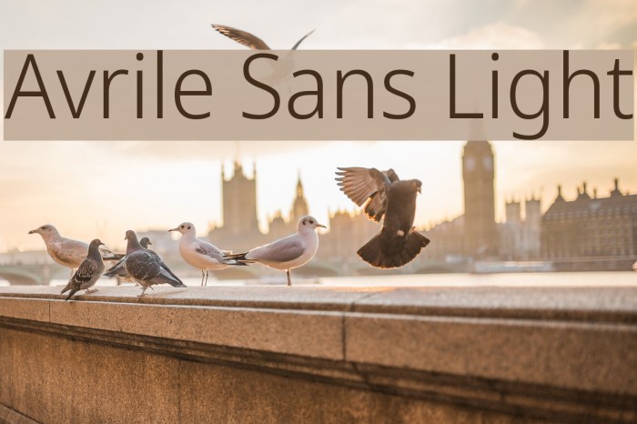 Avrile Sans Light Font examples