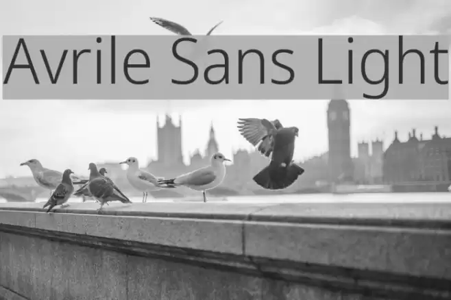 Avrile Sans Light Font examples