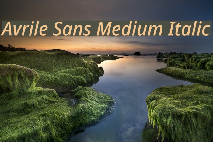 Avrile Sans Medium Italic Font examples