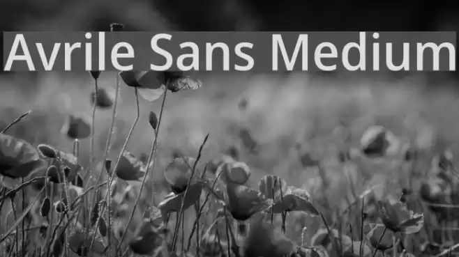 Avrile Sans Medium Font examples
