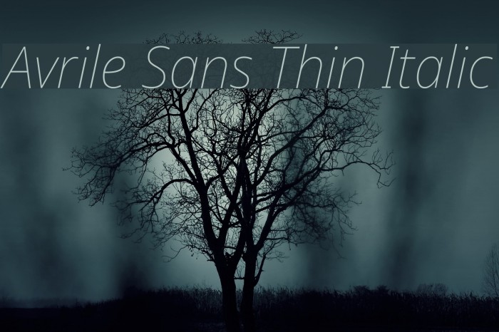 Avrile Sans Thin Italic Font examples