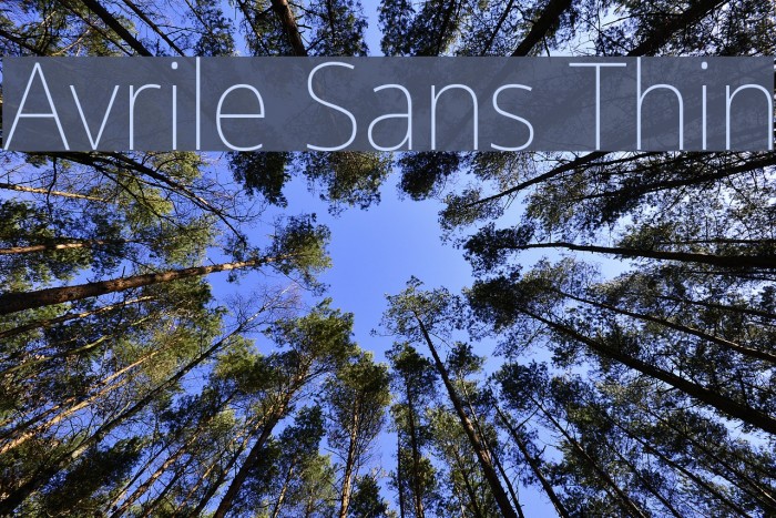 Avrile Sans Thin Schriftart examples