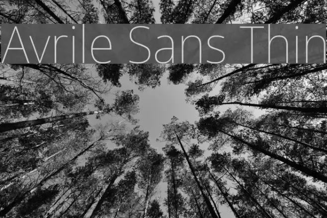 Avrile Sans Thin Font examples