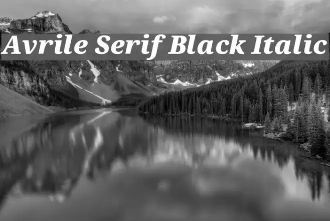 Avrile Serif Black Italic Example 1