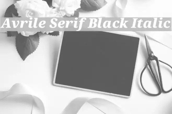Avrile Serif Black Italic Example 3